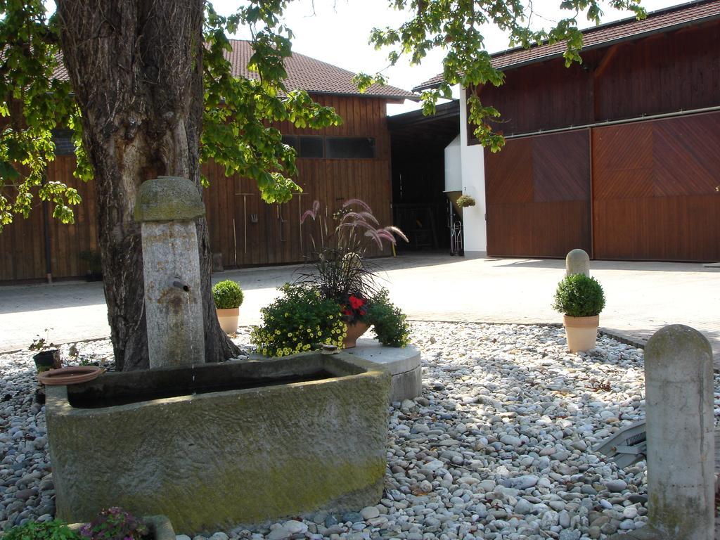 Gaestehaus Wildgehege Wilhelm Екстер'єр фото